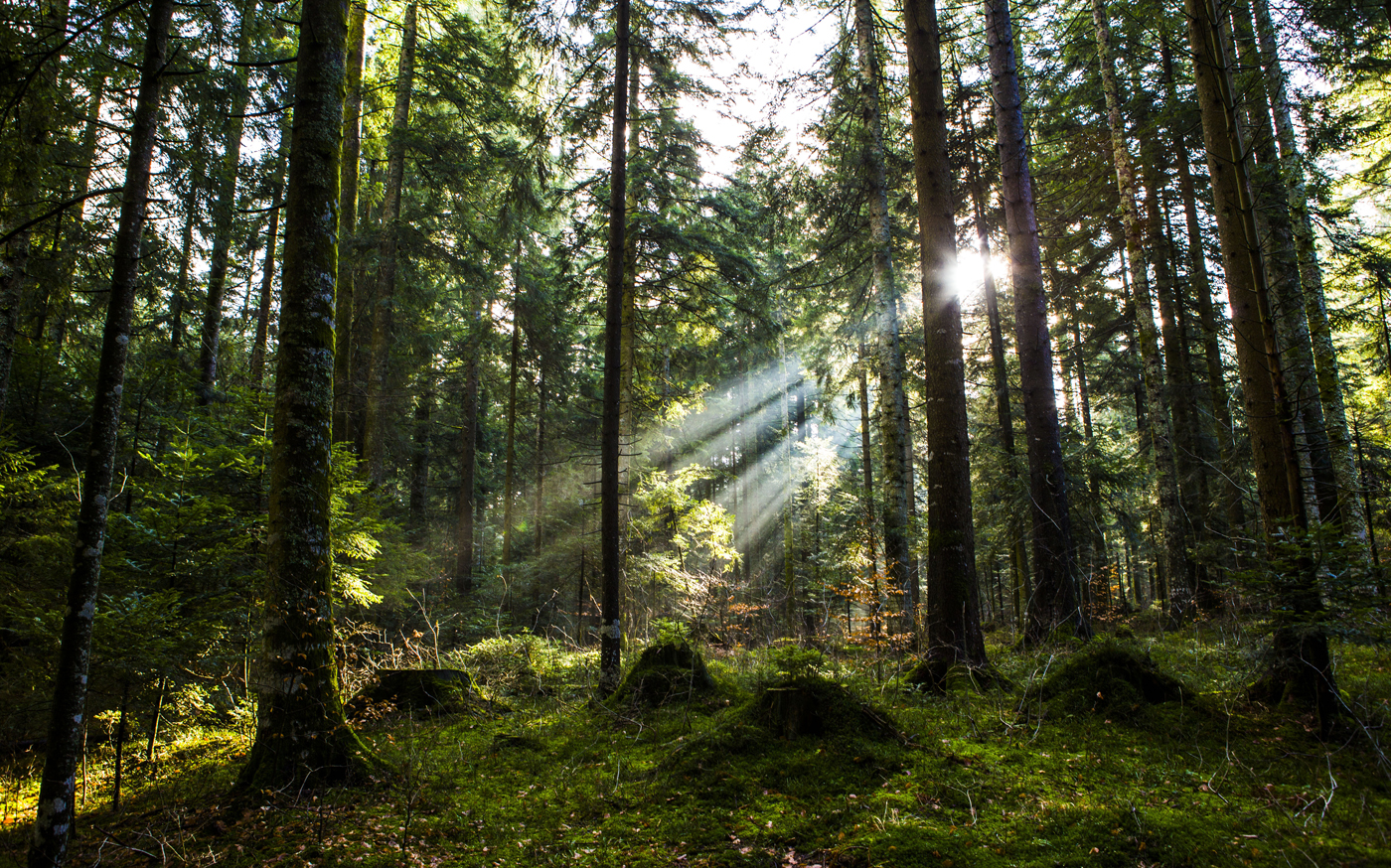  Sun beam 